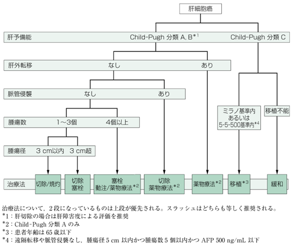 肝癌診療ガイドライン 2021年版