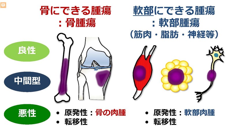 (図1)